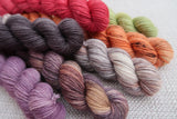 Autumnal Mini skein Set
