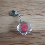 Red dried Flower in resin progress keeper