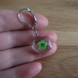 Green dried Flower in resin progress keeper