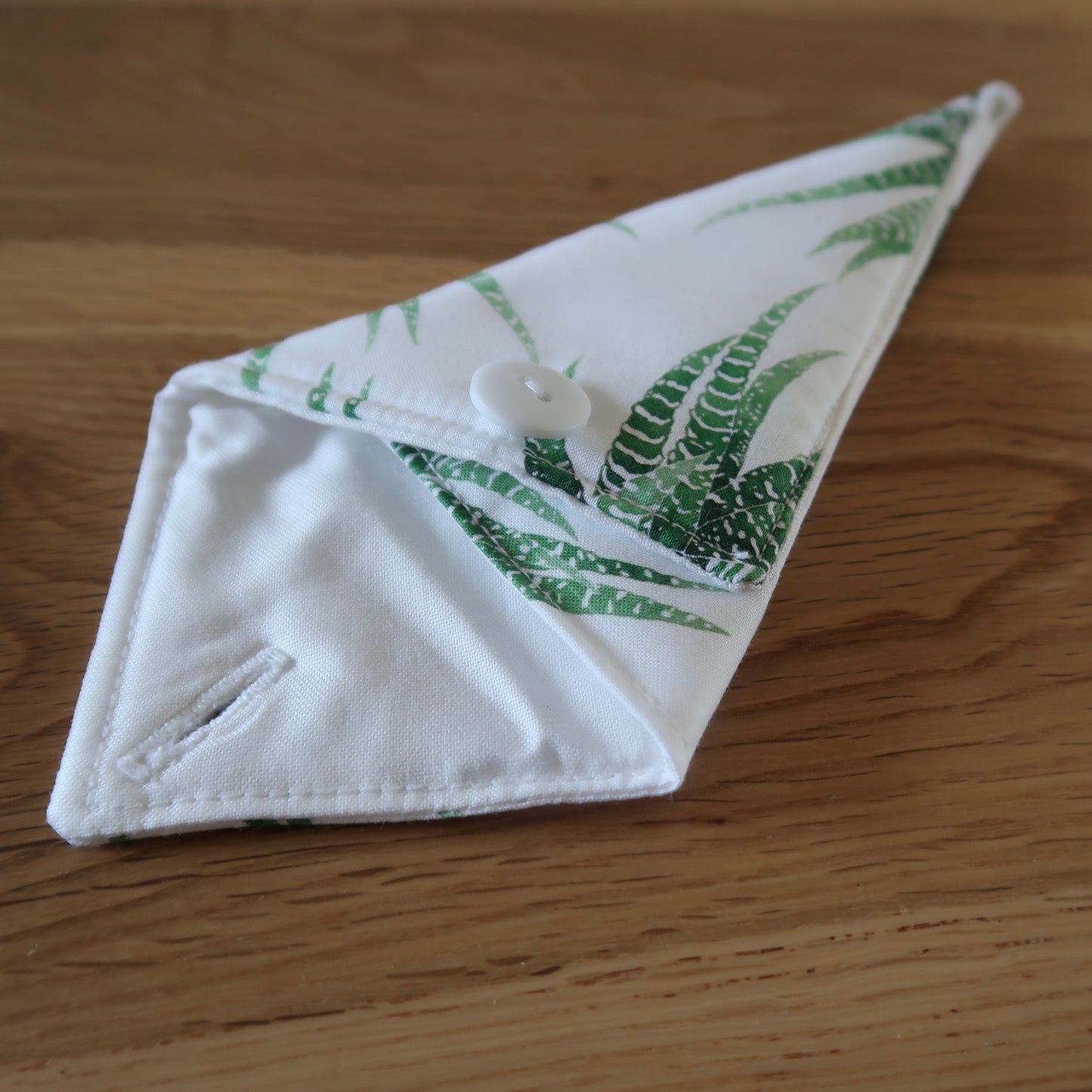 Succulent print Scissor Case