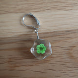 Green dried Flower in resin progress keeper