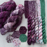 3 MONTH BUNDLE - PRE-ORDER Colours of the Month - BRAVEHEART - 100g SINGLE SKEINS - JAN / FEB / MAR 2026