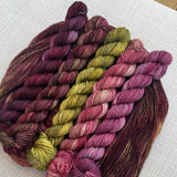 PRE-ORDER Colours of the Month - WICKED GAME - 100g SINGLE SKEINS - NOVEMBER 2025