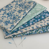 Liberty monthly fabric pack -   NOVEMBER