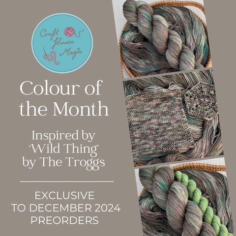 PRE-ORDER Colour of the month Sock / Shawl Yarn Club - DECEMBER 2024 - WILD THING