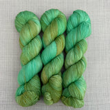 3 MONTH BUNDLE - PRE-ORDER Colours of the Month - THE LION SLEEPS TONIGHT - 100g SINGLE SKEINS - APR / MAY / JUN 2026