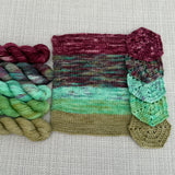 3 MONTH BUNDLE - PRE-ORDER Colours of the Month - THE LION SLEEPS TONIGHT - 100g SINGLE SKEINS - APR / MAY / JUN 2026