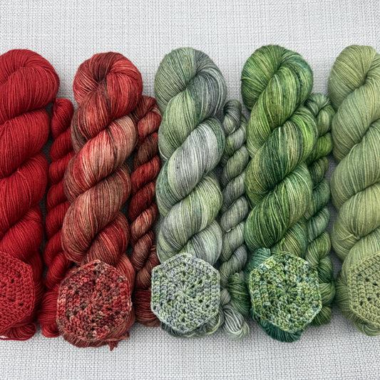 PRE-ORDER Colours of the Month - WHERE YOU LEAD, I WILL FOLLOW - 100g SINGLE SKEINS - SEPTEMBER 2026