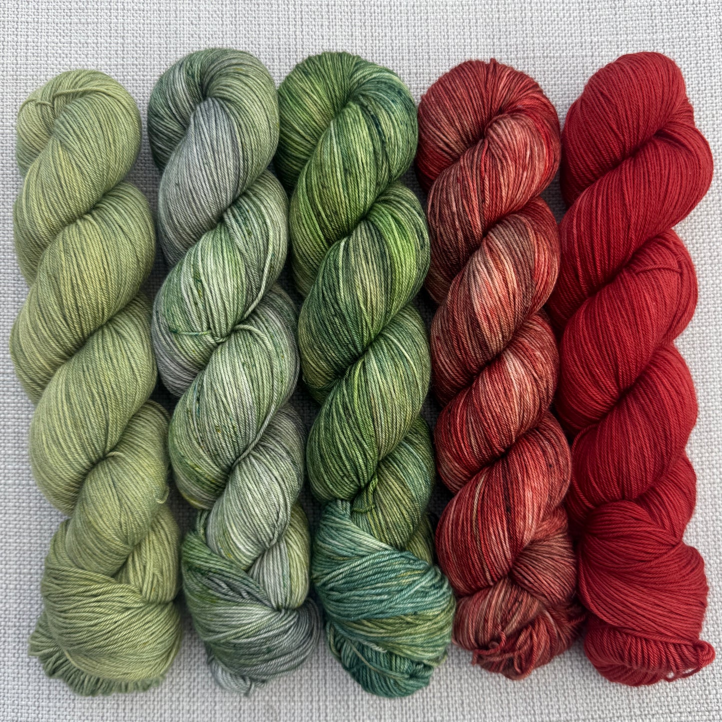 PRE-ORDER Colours of the Month - WHERE YOU LEAD, I WILL FOLLOW - 100g SINGLE SKEINS - SEPTEMBER 2026