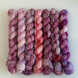 Celebrate Mini skein Set