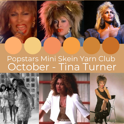 PRE-ORDER Popstars Yarn Club - OCTOBER 2024 (1 month)