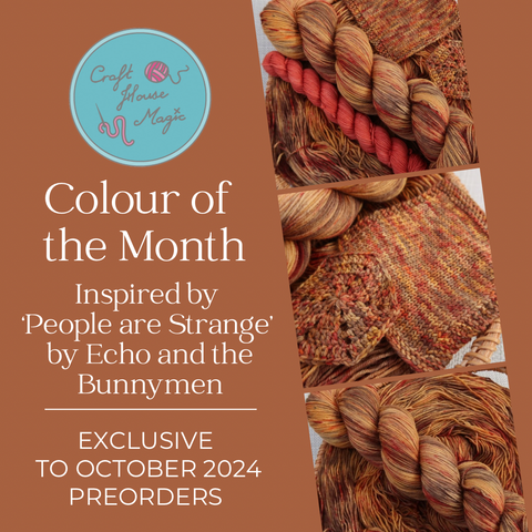 PRE-ORDER Colour of the month Sock / Shawl Yarn Club - OCTOBER 2024 - PEOPLE ARE STRANGE