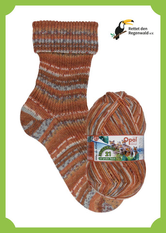 Opal Happy Passengers 11606 Rainforest - 100g 4 ply