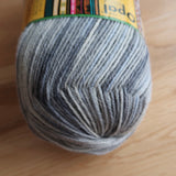 Opal Yarn - 11167 Adventurous - 100g 4 ply