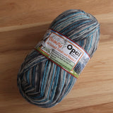 Opal Yarn - 11155 Weather Peak - 100g 4 ply